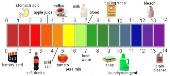 how is ph used in everyday life